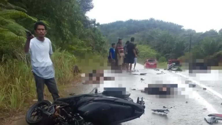Kronologi Kecelakaan Maut di Jalan Poros Truk CPO vs Sepeda Motor, Berakhir dengan Kehilangan Tiga Nyawa