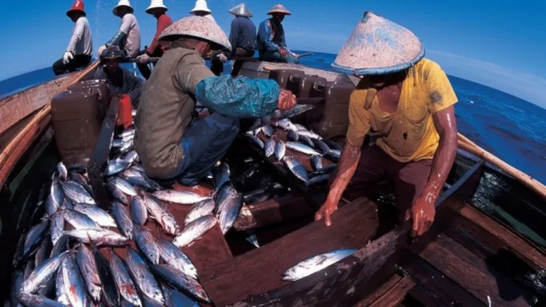 Peran Perikanan Sungai Kapuas dalam Pembangunan Ekonomi Regional