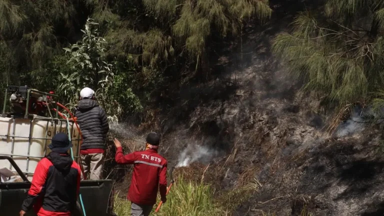 Kebakaran Gunung Batok! Kolaborasi Masyarakat dan Otoritas Segera Padamkan Api